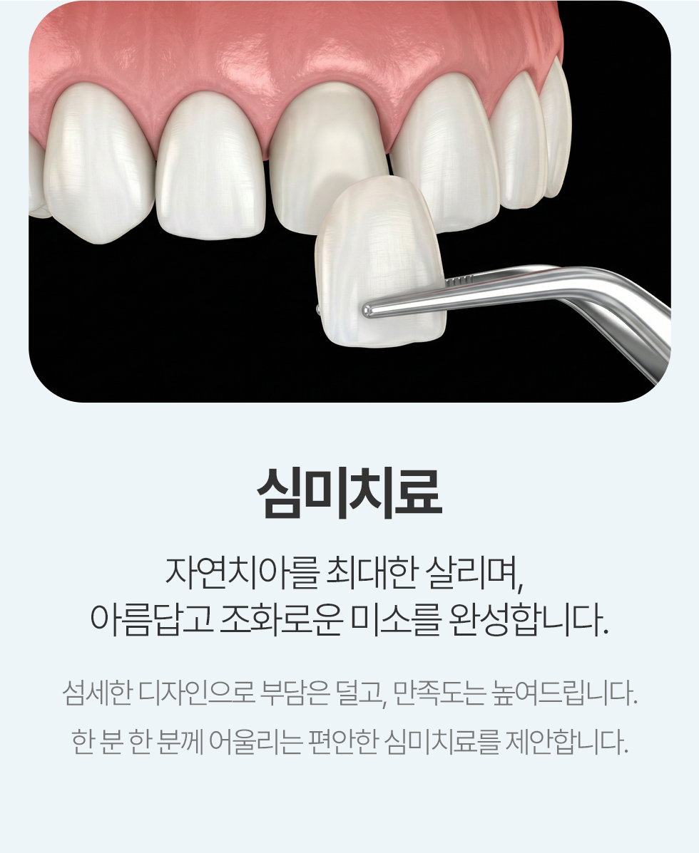 심미보철